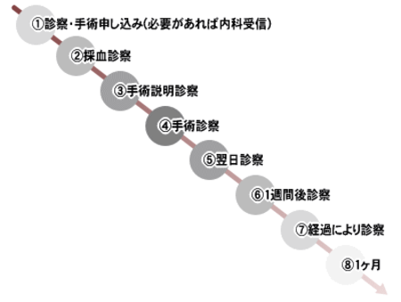 手術までのスケジュール