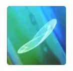 ソフトレンズ
